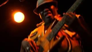 Habib Faye | Jamboo live in Paris | Featuring a killer bass solo