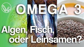 Welche ist die BESTE Omega 3 QUELLE 2025? [Prof. Keller klärt auf]