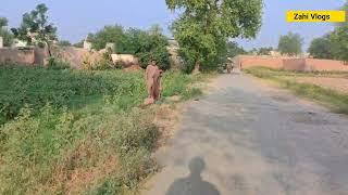 Village Life morning time in kp side by Zahi Daily Vlogs