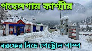 Pahalgam Kashmir | Pahalgam Tourist Places | Betaab Valley | Baisaran Valley | Kashmir Tour