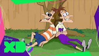 Nova Realidade | Phineas e Ferb