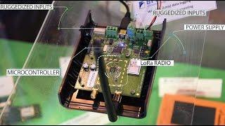 LoRa Remote Monitoring System w/ Ruggedized Data Logger - ByteSnap