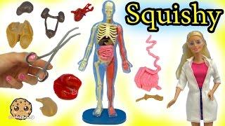 Squishy Human Anatomy with Scientist Teacher & Student Video