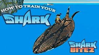 HOW TO THAIN SHARK | КАК ПРИРУЧИТЬ АКУЛУ | Shark Bite 2