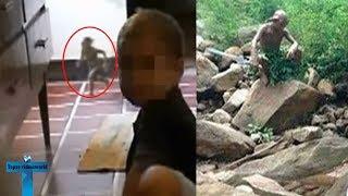 10 Real Goblins Caught On Tape & Spotted  In Real Life