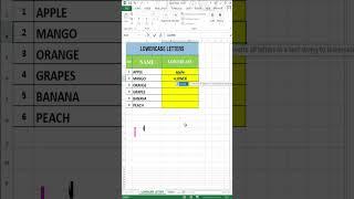 Excel LowerCase Letters | Technical Ustad