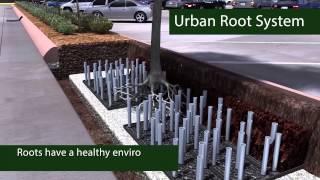 Urban Root System x Century Products