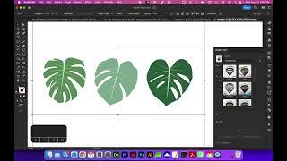 Image Trace to Vector Objects in Adobe Illustrator 2023 Update