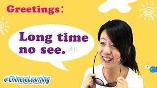 Beginner Mandarin Chinese: "Long Time No See" with eChineseLearning