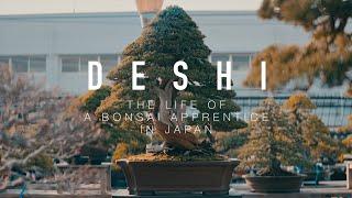 Deshi - The Life of a Bonsai Apprentice in Japan
