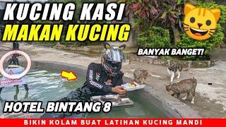 RENOVASI RUMAH BUAT KOLAM UNTUK KUCING BERENANG ASIK BANGET!!