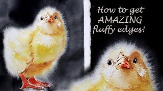 How to Paint a Fluffy Chick for Easter - Wet on Wet Soft Edges explained! Watercolor 4 Beginners