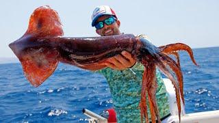 HUGE Squid Fishing in Italy