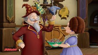 Sofia The First - Cedric's Parents - Official Disney Junior UK HD