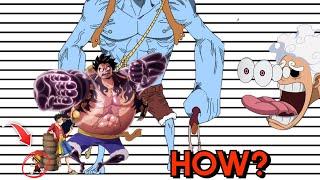 The MANY Different Sizes of Luffy