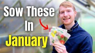 You MUST Sow These Seeds In January | Gardening For Beginners