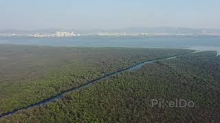 Vikhroli Mangroves Drone View