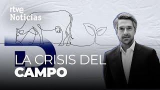 CRISIS EN EL CAMPO: El sector primario pide auxilio | RTVE Noticias