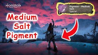 Horizon : Zero Dawn - Pigments - Medium Salt