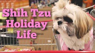 Puppy Day in the Life of a Puppy | Episode 18
