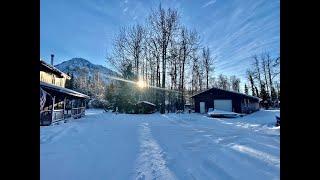 Alaska Homestead Property Tour in Chickaloon! LISTING CANCELLED