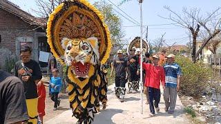 arak arakan singo barong ganas condromowo live kaligawe tridonorejo