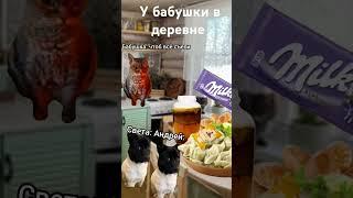 У бабушки в деревне #fup #кот #прикол #cat #топ #лето #юмор #деревня #бабушка