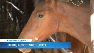 Қарағанды облысының қорытынды жаңалықтары 26 тамыз