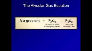 The A-a Gradient (ABG Interpretation - Lesson 16)