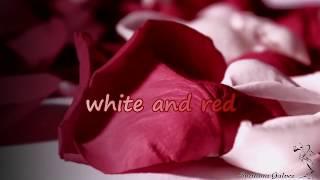 The music is in the heart. White and Red. Johann Pachelbel. Canon.Музыка в сердце.