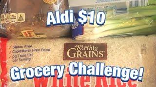 Aldi Ten Dollar Challenge! | Eat for a week for $10! | Linda J's Journey