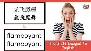 Translate Image to English - Free Online Image Translator - PictureTranslate