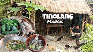 The best soup for a cold weather | Cooking native tinolang manok | Probinsya Life by: Kabagis