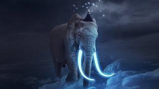 Glowing Elephant Photo Manipulation Effect Photoshop Tutorial