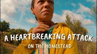 A Short Life  but a Life Well Lived - Off Grid Homestead️