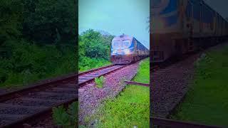 ගාලු කුමාරී  | Galu kumari #srilanka #travel #train #galle #foryou#nature #love #trendingshorts#fyp