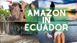 Journey in the Ecuadorian Amazon! | Cuyabeno