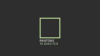 Pantone greneey | testing