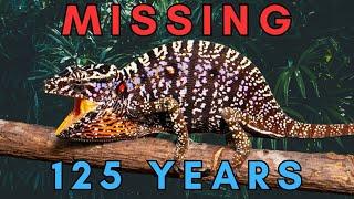 Lost and Found - The Rediscovery of 5 Lost Species