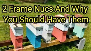 2 Frame Nucs And Why You Should Have Them