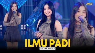 CANTIKA DAVINCA - ILMU PADI | Feat. BINTANG FORTUNA (Official Music Video)