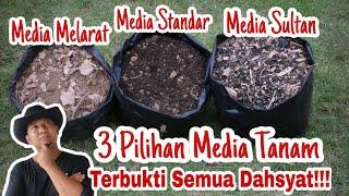 3 KASTA Media Tanam yang Sering Bli Gunakan, nomor Satu bikin geleng kepala!!!