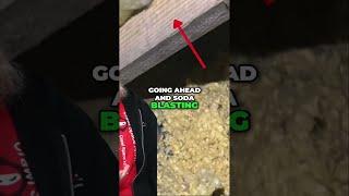 Crawl Space Mold? Why Soda Blasting is Key