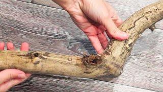 Look! Saw cut and driftwood, amazingly romantic decor #diy #homemade #craft #décor