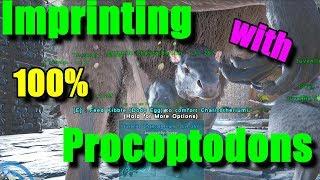 Ark Imprinting with Procoptodons: Easy Breeding and Baby Raising Tricks