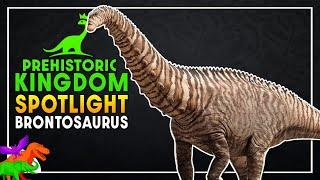 Brontosaurus Species Spotlight - Prehistoric Kingdom