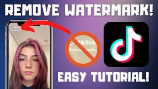 How to Save TikTok Videos Without the Watermark! | Remove TikTok Watermark (2024)
