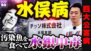 【水俣病】汚染魚を食べて水銀中毒に…闇深い国の対応まで現地からわかりやすく解説