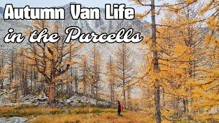 Autumn Van Life in the Purcell Mountains