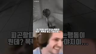 피곤할때 절대 하면 안되는 행동